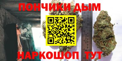 дурь Новодвинск