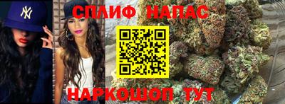 твердый Новокубанск